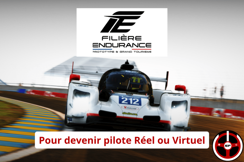 Endurance Sim Racing Endurance: the perfect link between Sim Racing and the track